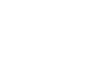 Forough Abbasi logo